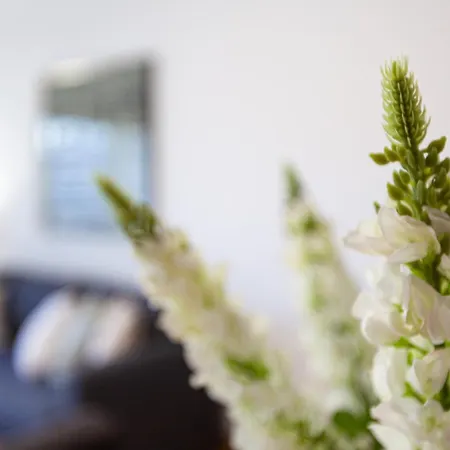 Sete Rios Apartamento